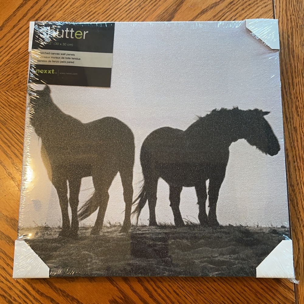 NWT canvas picture 2 Horses